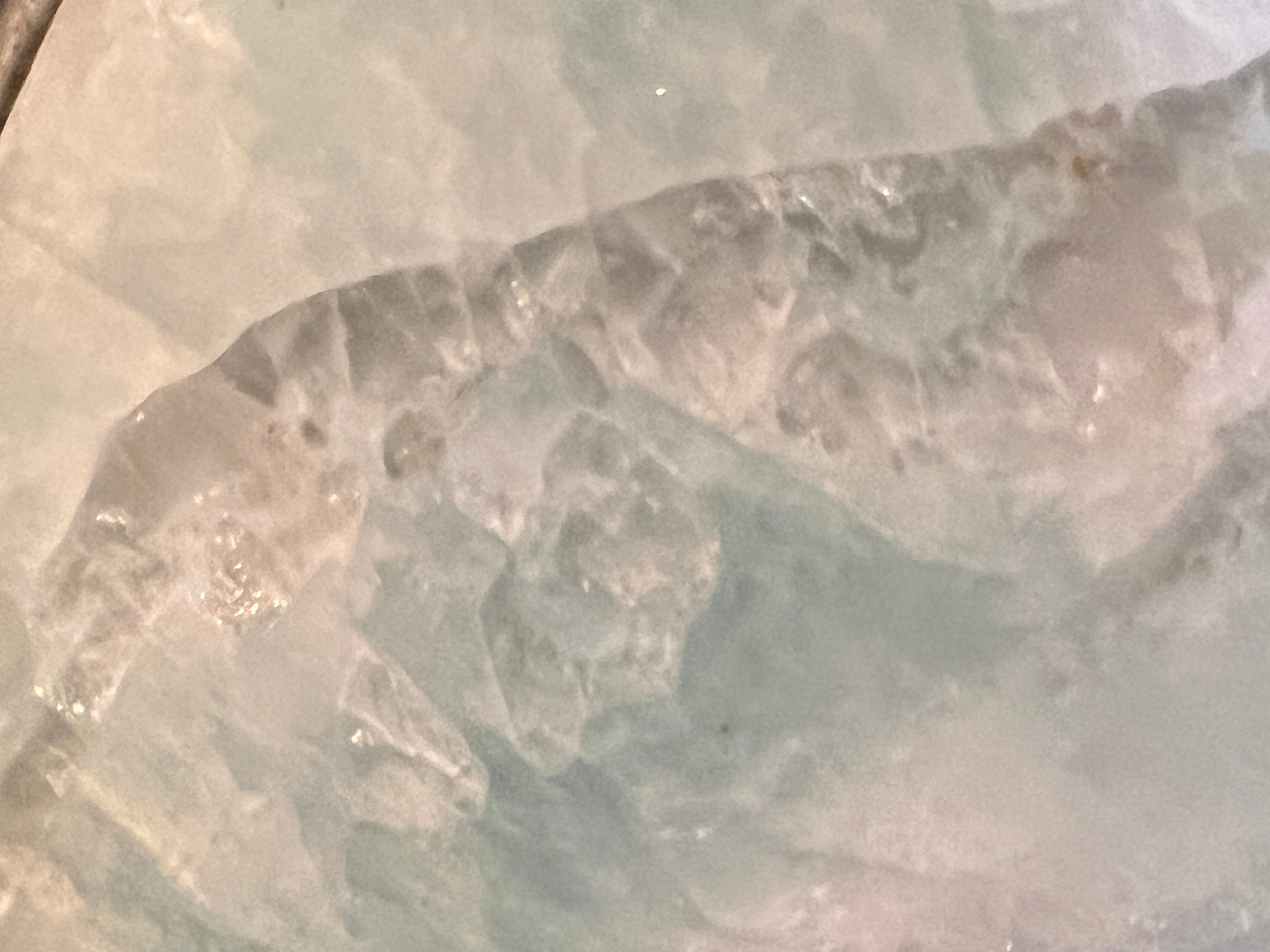 Green and White Variscite with crystals